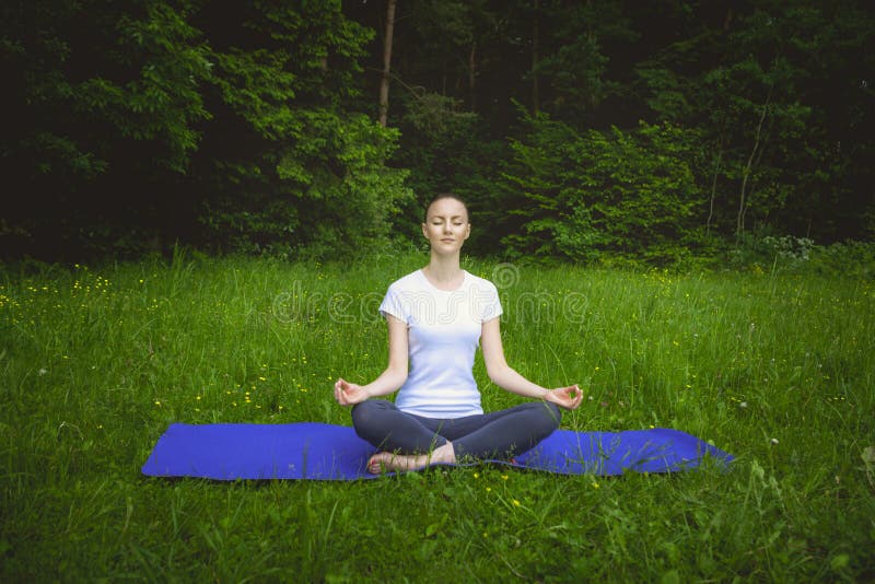 Meditation and Yoga Fusion Balancing Inner Elements